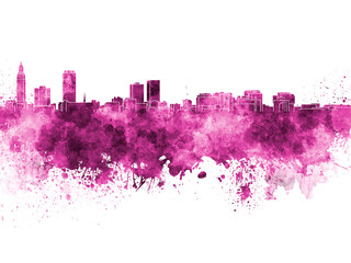 Obraz premium Baton Rouge skyline in pink watercolor on white background