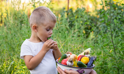 Child in the garden with vegetables in his hands. Selective focus.