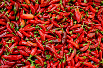 Bright Red peppers background, healthy hot flavors gourmet