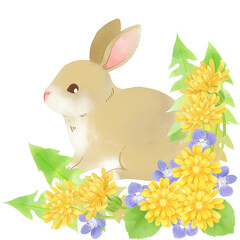 たんぽぽの花に囲まれたウサギのイラスト／Illustration of a rabbit surrounded by dandelion flowers