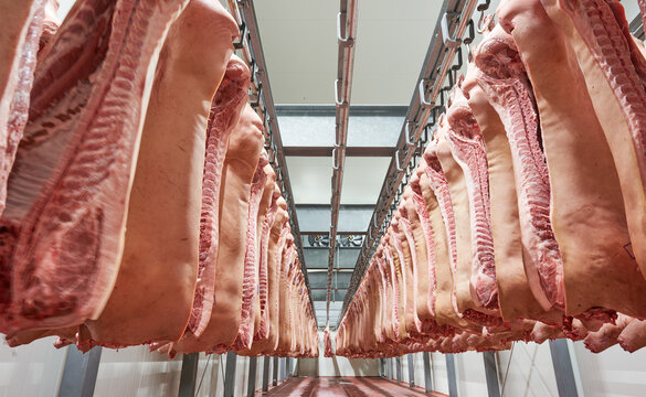 Refrigerator meat storage with handing sides in pork butchery.