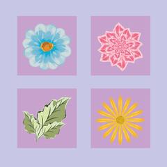 icons different flowers