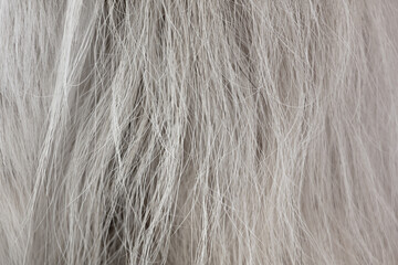 Horse fur as an abstract background.