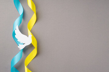 Stop the war in Ukraine concept. Top view photo of national flag colors yellow and blue curly ribbons and white pigeon on isolated grey background with copyspace