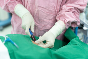 anesthesiologist doctor prepare invasive monitor for patient before surgery