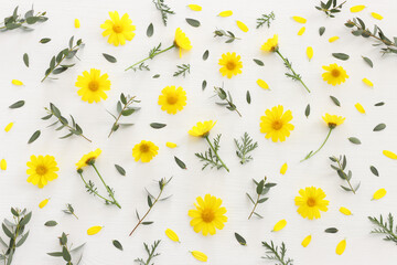 Obraz premium Top view image of yellow chrysanthemum field flowers composition over wooden white background. Flat lay