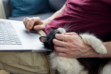 Man working on laptop with his cat near him. Stroking, relaxing