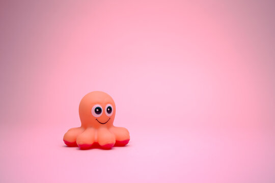 my friend octopus