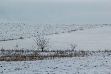 Natural sunset sunrise over field or meadow. The color of the sky over the winter snowy ground. Landscape under a picturesque sky at sunset. Dawn of the sun.
