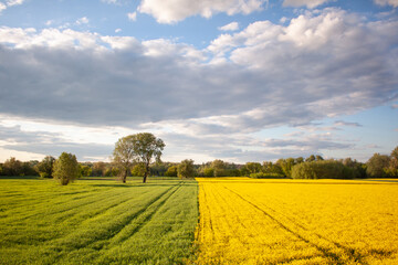 Krajobraz © Sagittarius