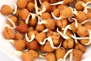 Sprouted Kala Chana or Black or brown Chickpeas - it's a vegan substitute for rich protein