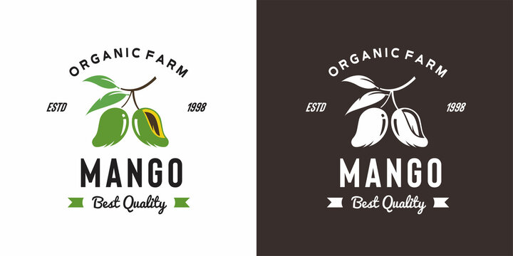 vintage mango fruit logo illustration suitable for fruit shop and fruit farm