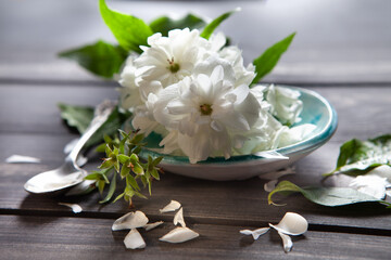 White flowers of jasmine on wooden background.Arabian jasmine flowers