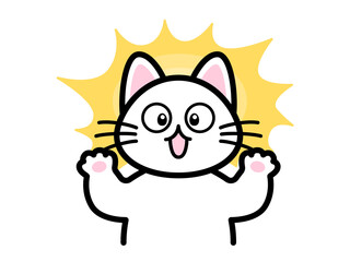 びっくりする猫