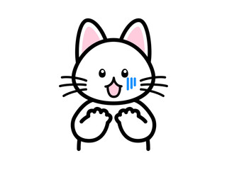 ショックを受ける猫