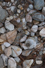 Landscape photography in Himachal