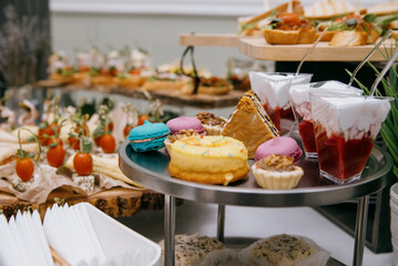 Delicacies and snacks at the buffet or banquet. Catering.