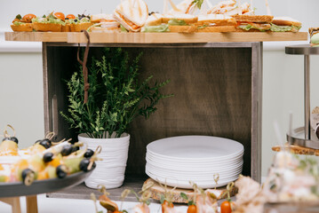 Delicacies and snacks at the buffet or banquet. Catering.