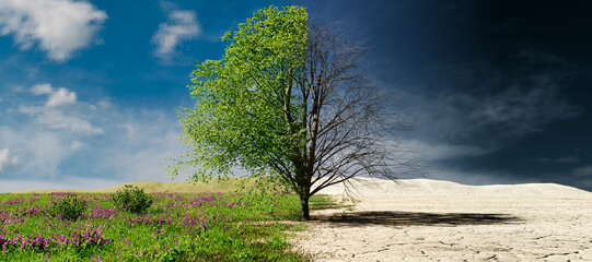Climate change concept. Tree in two parts with green and healthy nature versus drought and polluted nature. 3D rendering. - obrazy, fototapety, plakaty