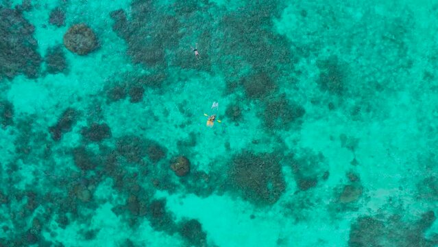 Aerial top view of young woman kayaking the floating transparent kayak and man swiming on the crystal clear water in Maldives.
