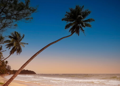 The banner of summer tropical concept with Beautiful of sand beach with palm trees as a  summer tropical view background