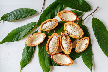 Half cacao pods and cacao fruit with cocoa leaf on white wooden background