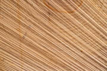 Holz Textur Beschaffenheit