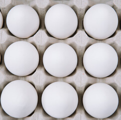 White raw chicken eggs in a tray top view. Fresh chicken eggs background