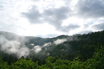 Clouds, sunshine and green trees form a hazy mountain landscape.