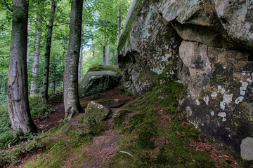 Mountain landscape in the Carpathian