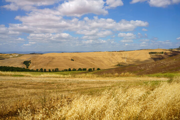 Obraz premium Rural landscape in Val d Orcia, Tuscany, Italy
