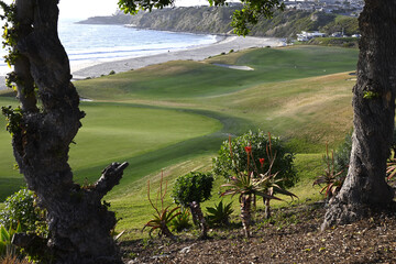 Scenic view of a golf course next to Monarch beach