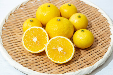 湘南ゴールド（神奈川県産、黄金柑（ゴールデンオレンジ）&rsquo;と温州みかん&lsquo;今村温州&rsquo;の交配種）