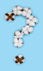 Question mark made of cotton flowers and isolated on solid blue background. Floral numbers and alphabet concept. One symbol of the set of cotton font easy to stacking.