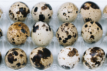 Fototapeta premium Flat lay of raw quail eggs in box. Top view natural organic egg. Healthy real food