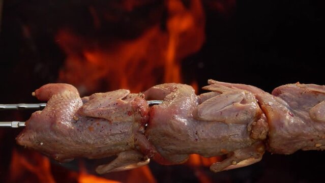 Close-up of the raw marinated quails on long skewers placed above the open fire