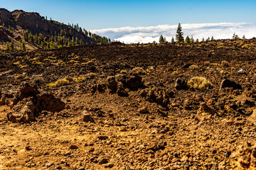 Paisaje con &aacute;rboles y nubes en el Parque Nacional del Teide, isla de Tenerife