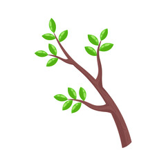 a tree branch with young green leaves. a symbol of forest conservation. the concept of cutting down trees