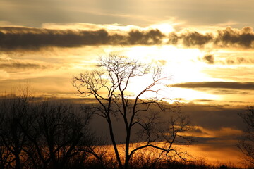 Fototapeta premium Evening Sky Silhouette