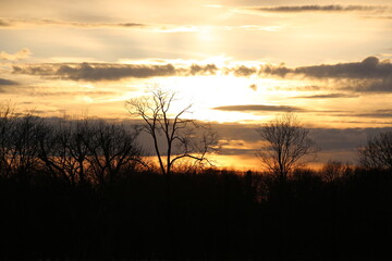 Obraz premium Evening sunset