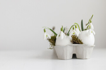 Happy Easter! Easter rustic still life. Easter egg shells with blooming snowdrops and moss on aged white wooden table. Simple stylish festive decoration on table. Space for text