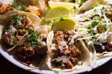 Party plate of authentic Mexican meat taco - carne asada, carnitas and barbacoa