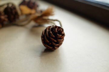 Pinecone on texture background. Usually used for decoration