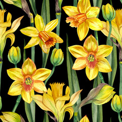 Naklejka na ściany i meble Seamless pattern with yellow daffodils and green twigs hand-painted in watercolor on a dark background.