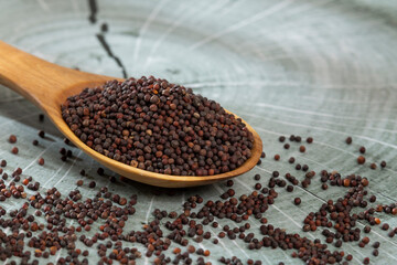 Brassica Nigra - Black Mustard Seeds Or Ajenabe