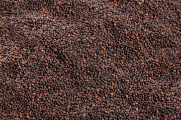 Brassica Nigra - Black Mustard Seeds Or Ajenabe