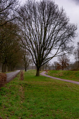 Lonely peaceful pathway in a rainy day