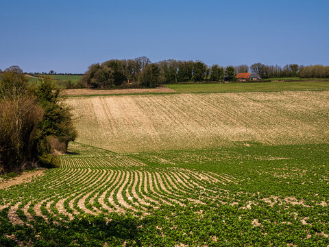 Downland Farmhouse