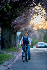 Children, playing on the street with blooming pink cherry trees on sunset