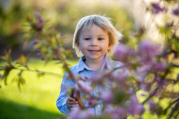 Little toddler boy, eating chocolate bunny in garden on sunset, easter eggs around him